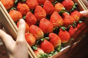 Fruitclub Livraison de fruits de saison Hanoi