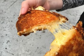 Cheese and Wine Food Truck Festival