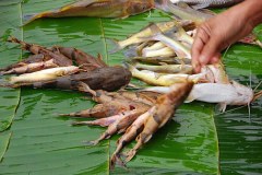 Mekong Delta 3 days Tour with Phnom Penh exit