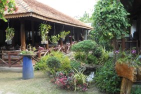 Thảo Mộc Garden Café