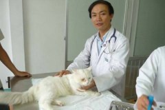 Saigon Pet Clinic Hồ Chí Minh